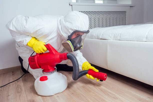 Best Real Estate Pest Inspections  in California, PA